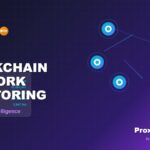 Blockchain Network Monitoring via Residential Proxies